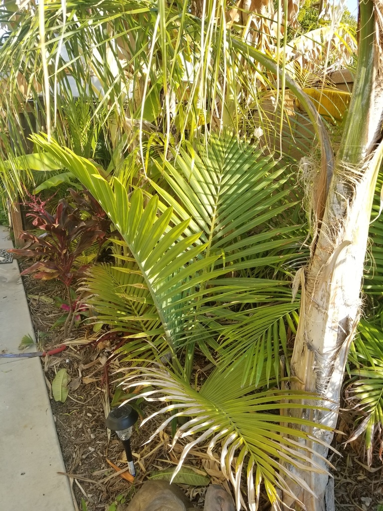 20190110_152106.jpg