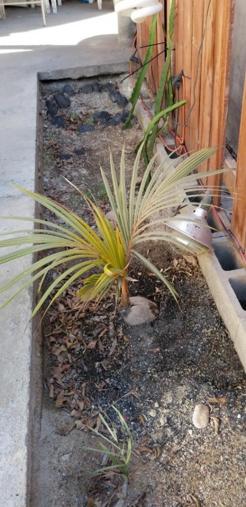 20190318_152356-1470x3024.jpg