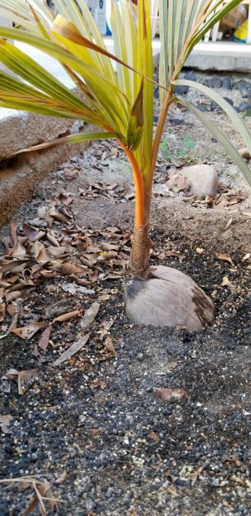 20190318_152402-1470x3024.jpg