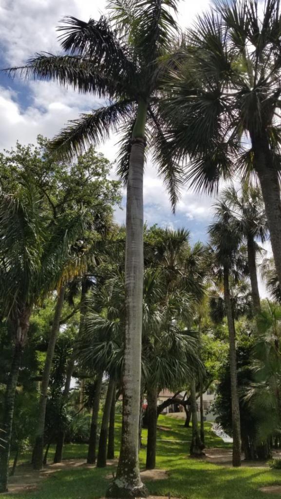20190402_122325.jpg