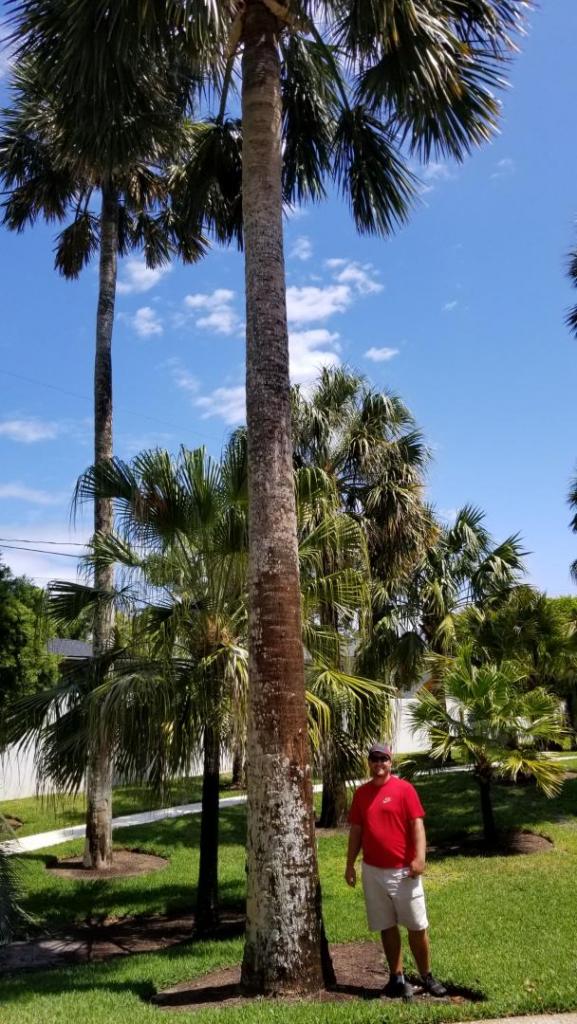 20190402_124002.jpg