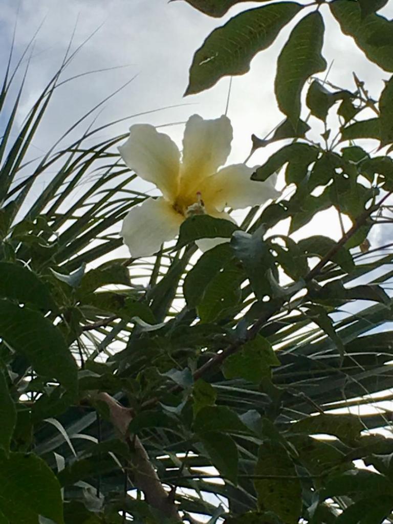 76083D1E-8997-40C9-8636-19D878458CF0.jpeg