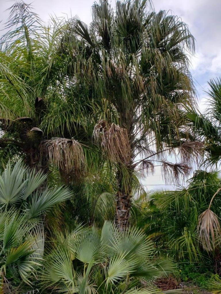 20190303_113527.jpg