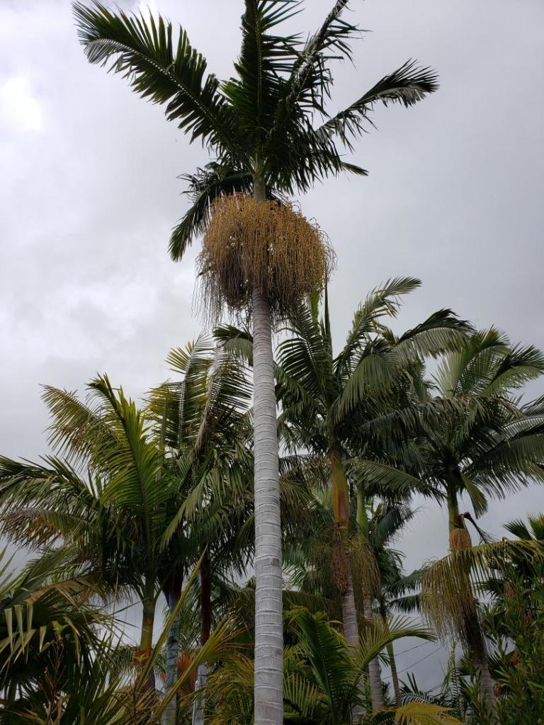 20190303_115625.jpg