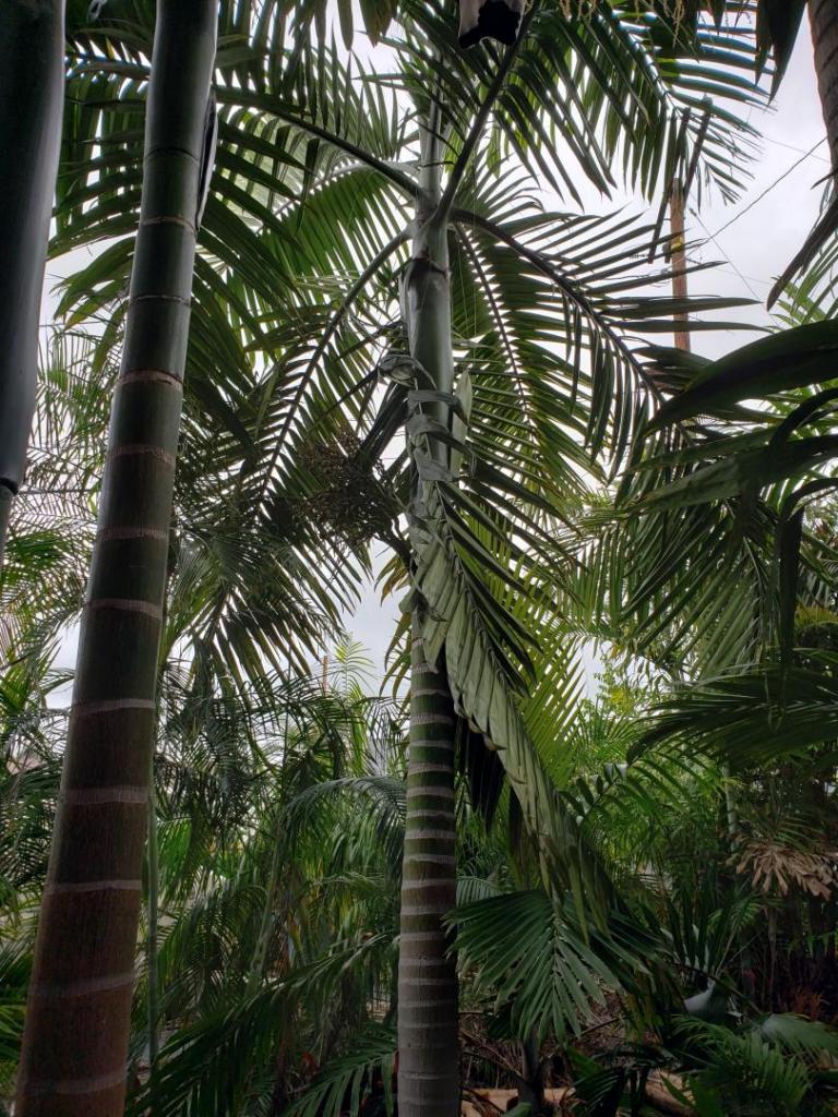 20190303_121350.jpg