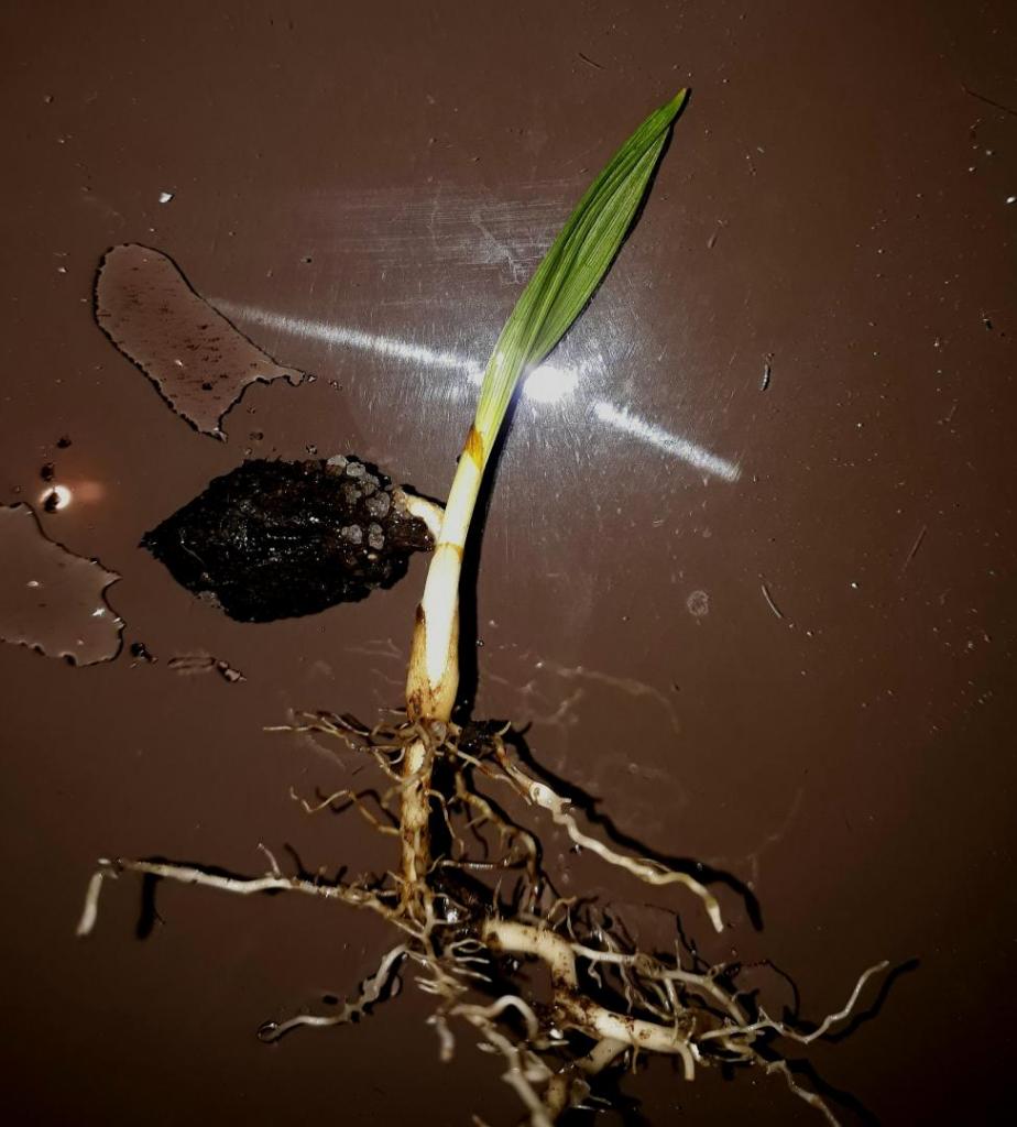 20190502_221007.jpg