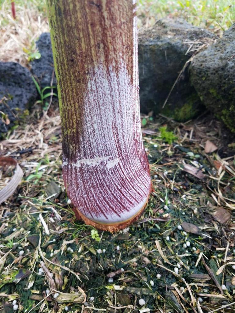 20190530_165007.jpg