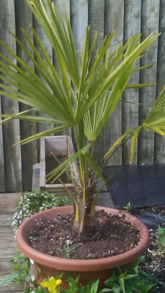 20190602_155929.jpg