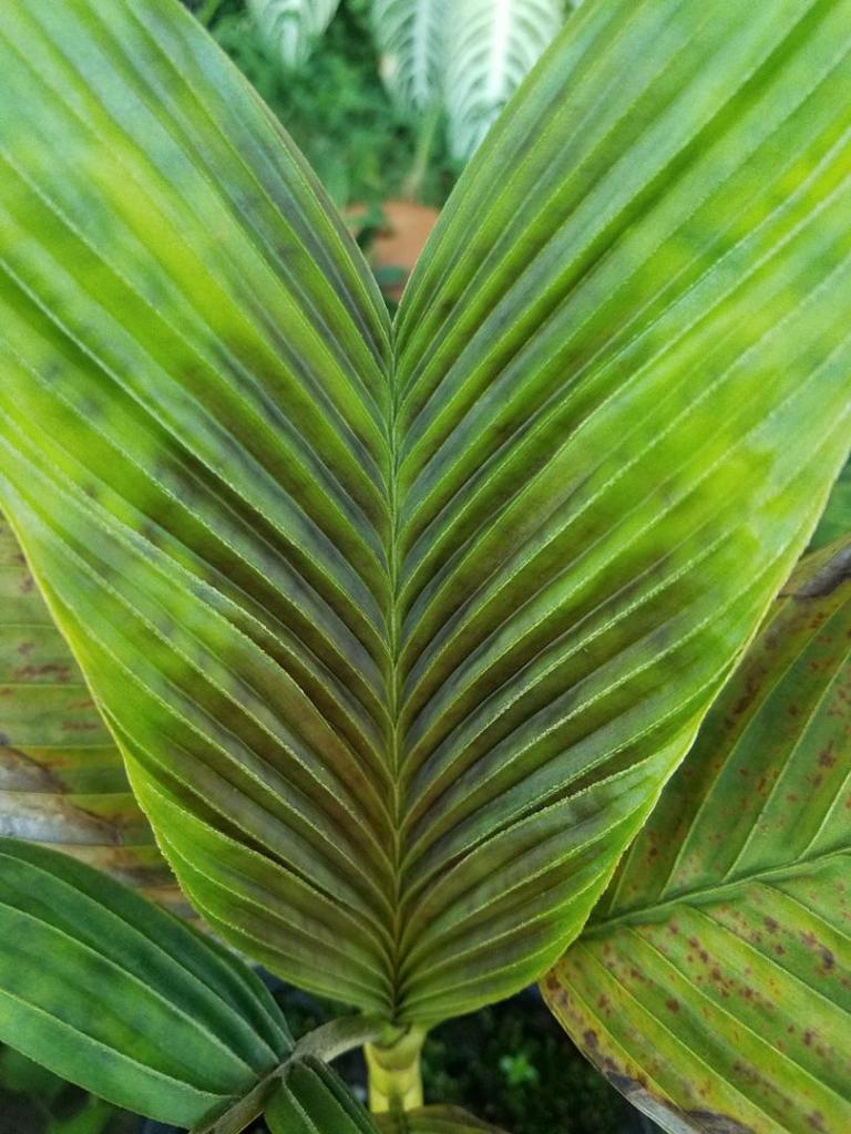 20190612_084355.jpg