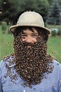 beard.jpg.3c4c1dd0cb9d762628a6b9e617aa287e.jpg