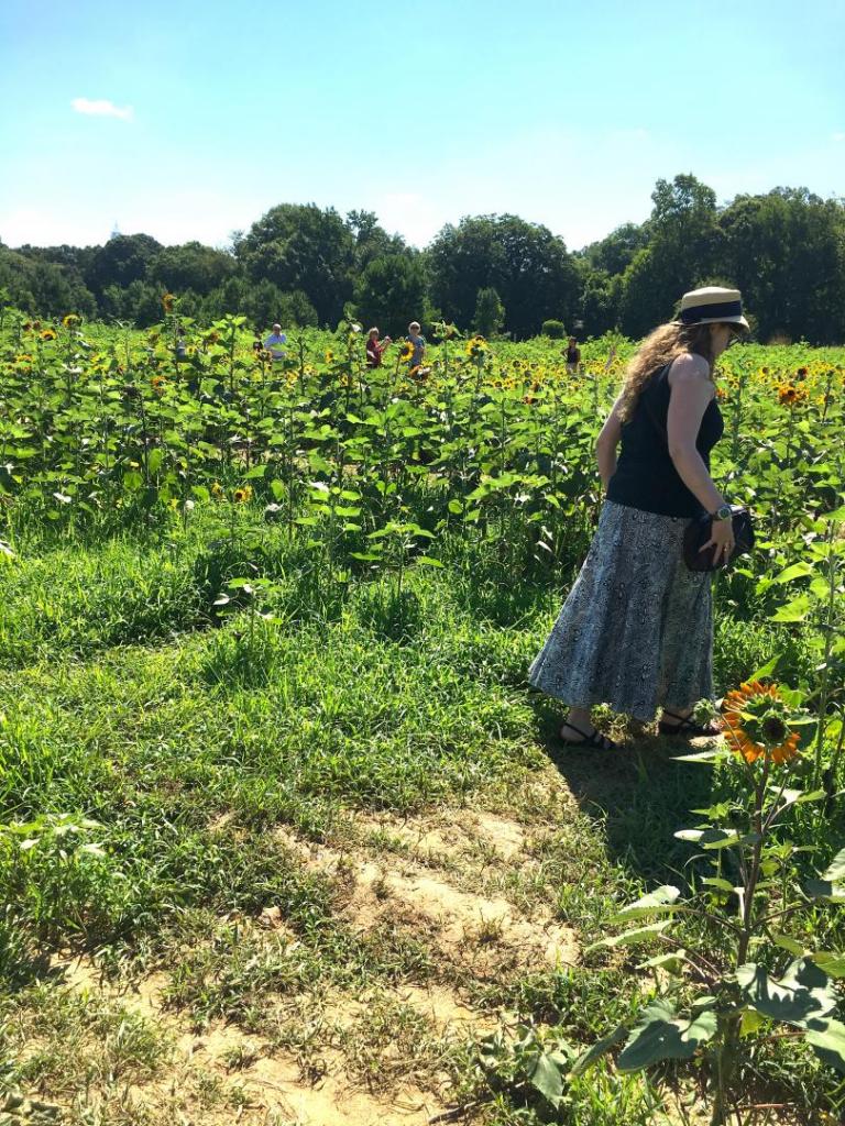 Sarah_n_sunflowers_01_07-18-19.thumb.JPG.4071df3d4e5b81c2ec17916d3d03adab.JPG