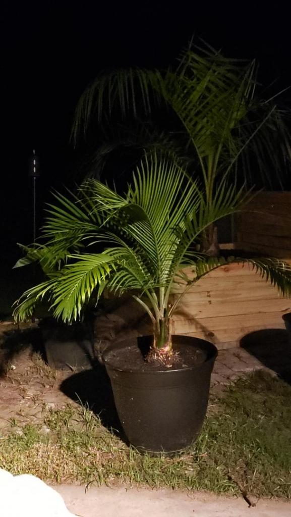 20190827_223935.jpg