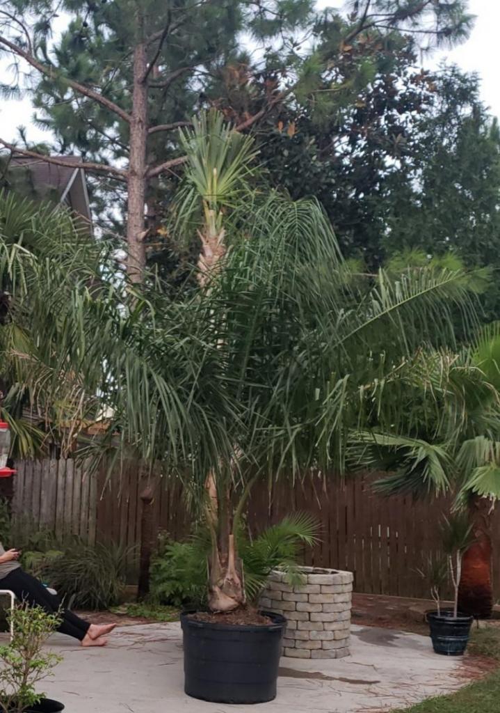 20190910_073217.jpg