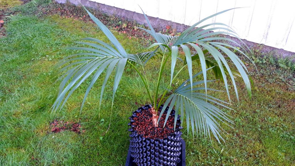 20190910_153240.jpg