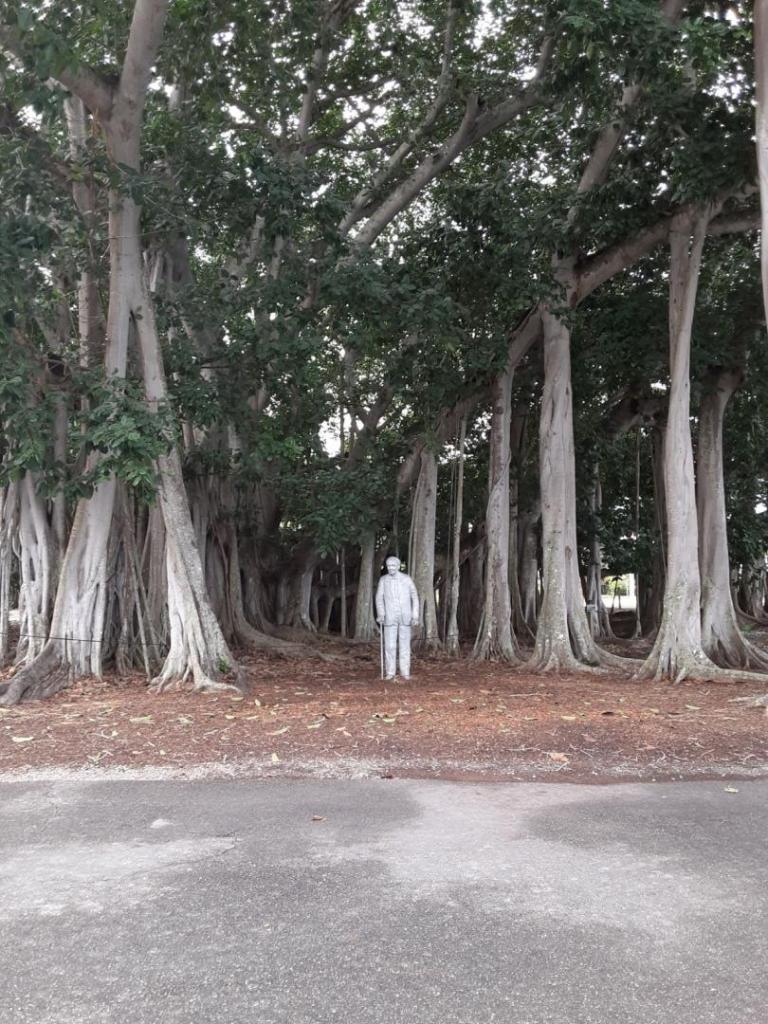 0003_Banyan_Edison.jpg