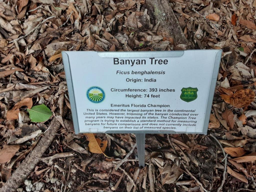 0004_Banyan_sign.jpg