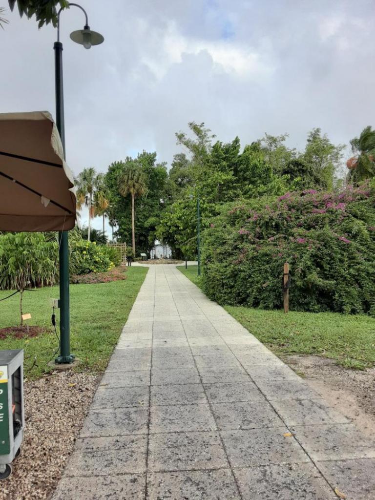 0007_Path_to_River.jpg