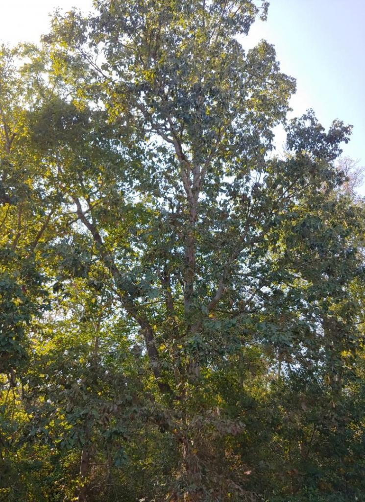 0930191524_HDR.jpg