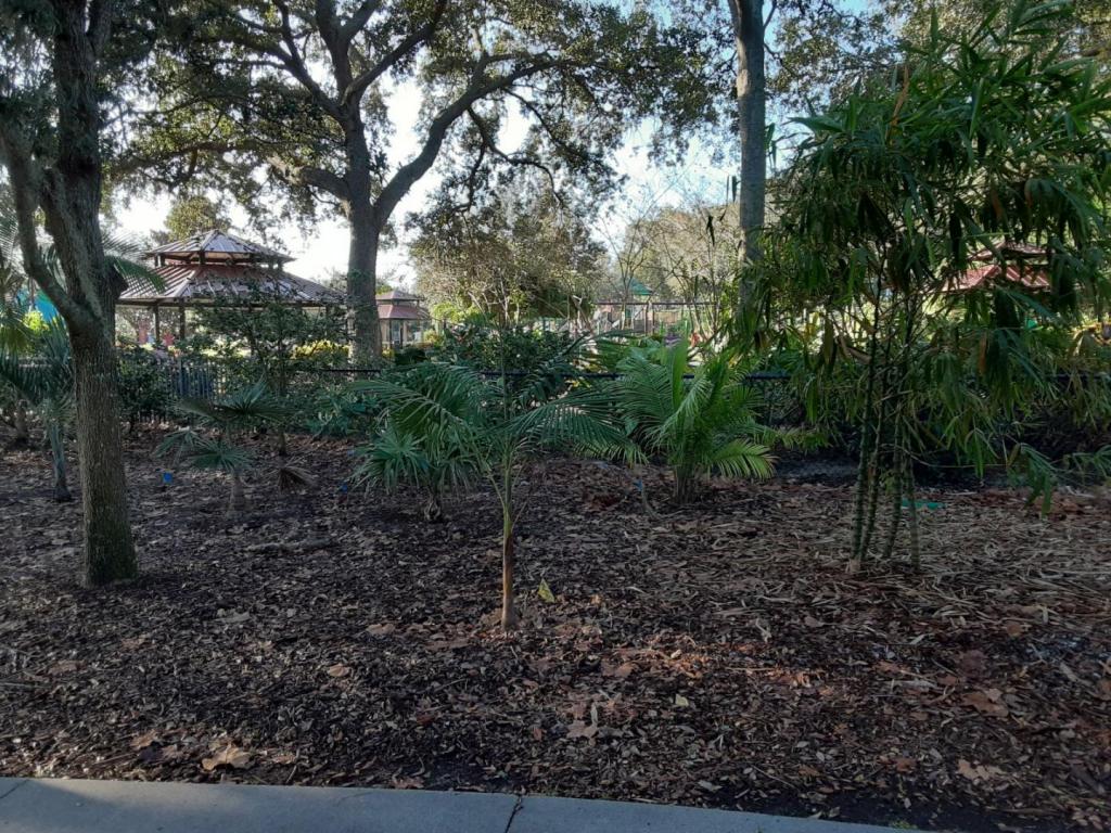 0003_Palms_3.jpg