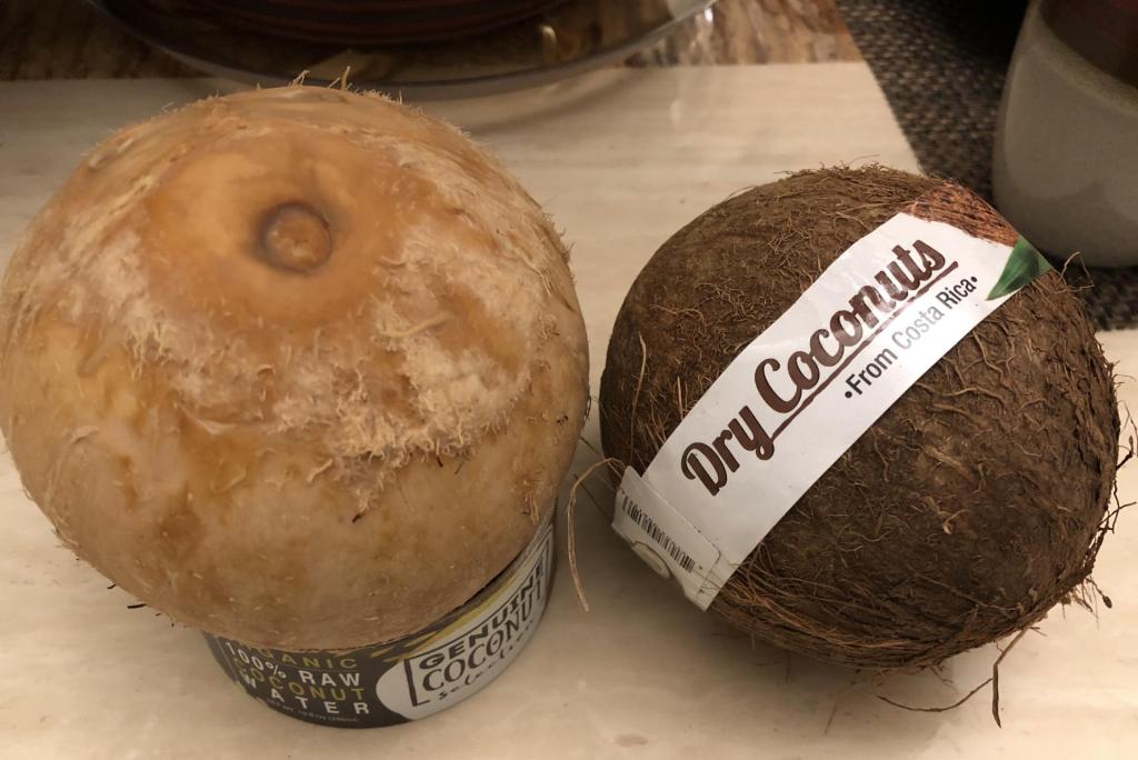 Coconuts1.jpg