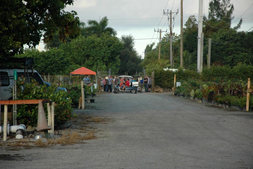 DSC_0210.thumb.JPG.a5cbed15a78c6bb6aa97a1353f49082e.JPG