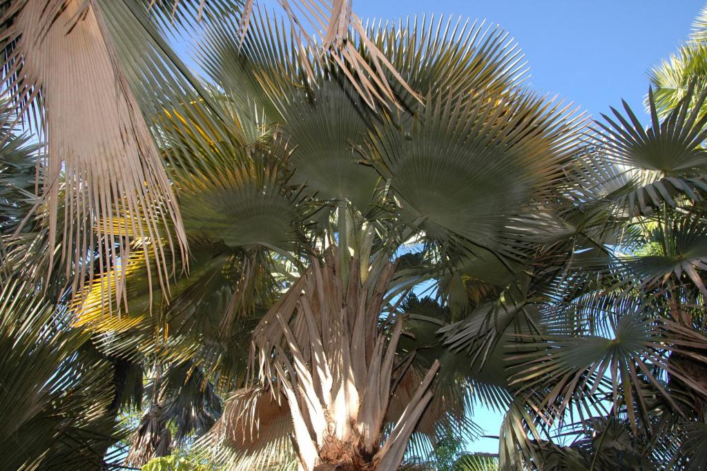 DSC_0369.thumb.JPG.47959ecd30b4dca0be8e4e8d4dadd247.JPG