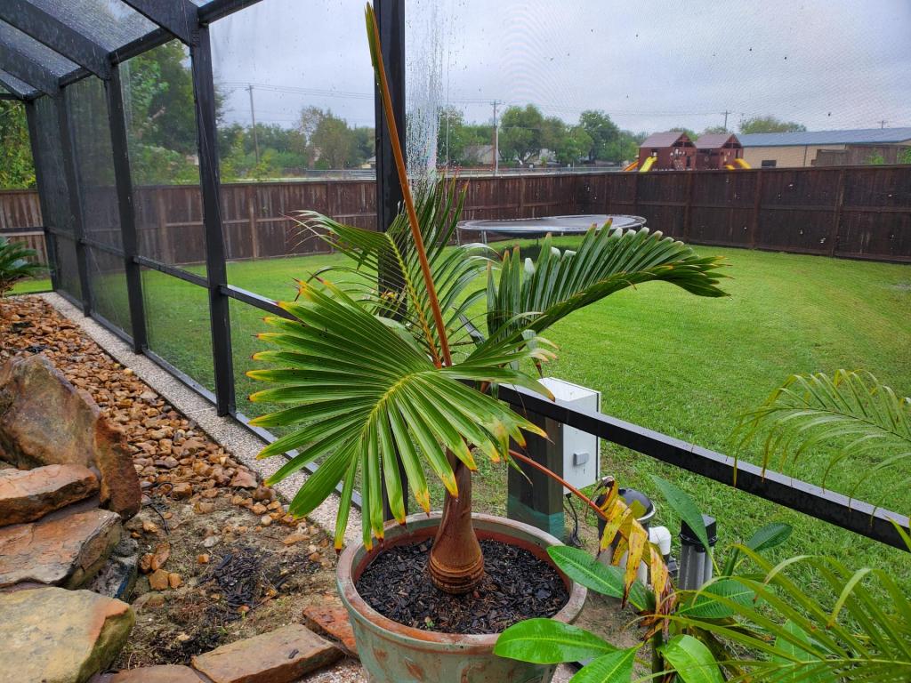 20191025_093806.jpg