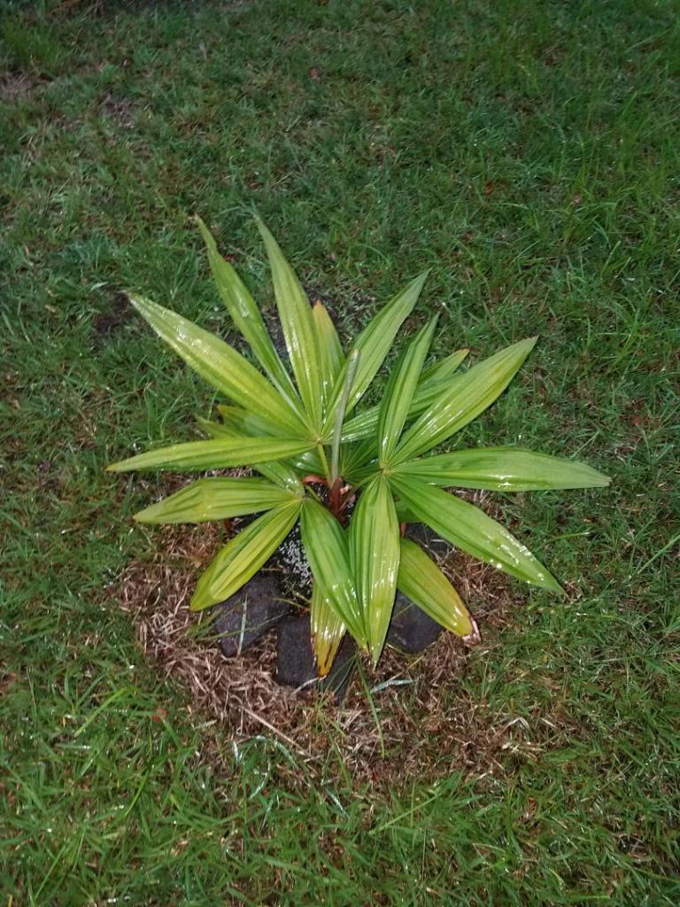 20191203_063205.jpg