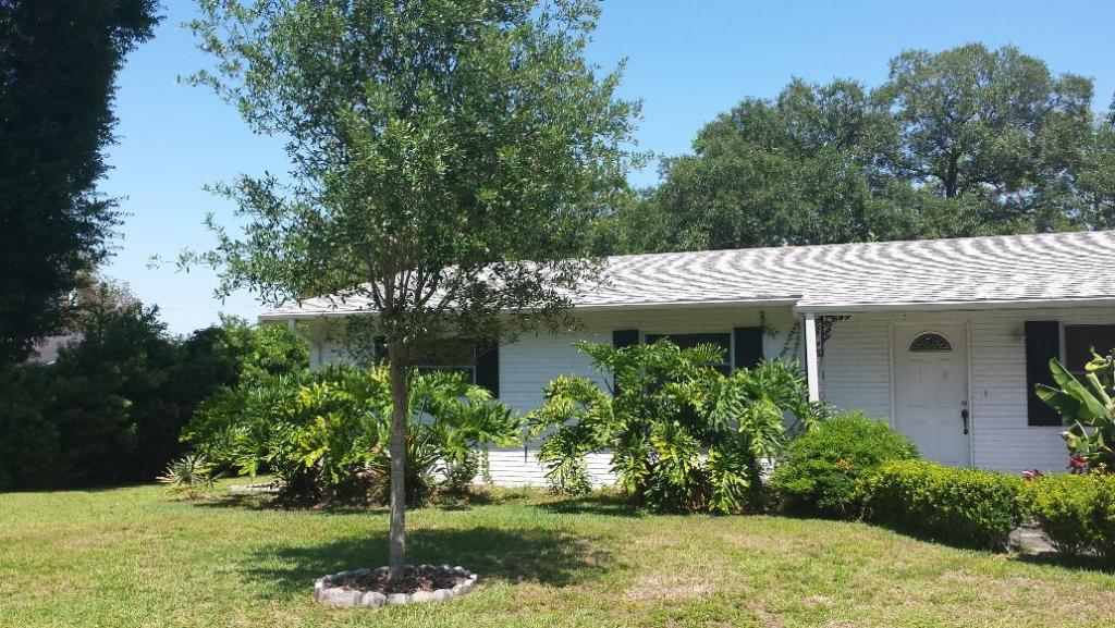 0000_Philodendrons_and_LiveOaks.jpg