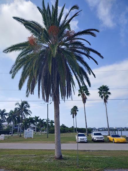 20191217_101657_HDR.jpg.4fb5b8487d9eeb9a19c0c55b70271860.jpg