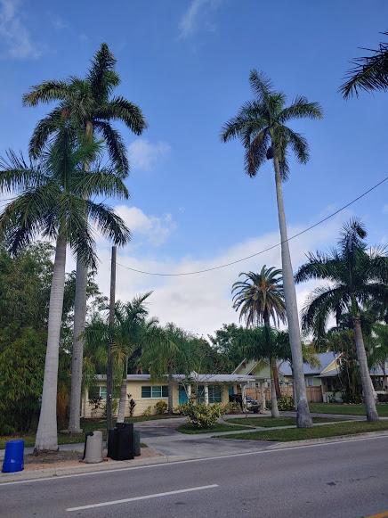 20191217_102317_HDR.jpg.cba9e79b7539095d60ea170e25a38374.jpg