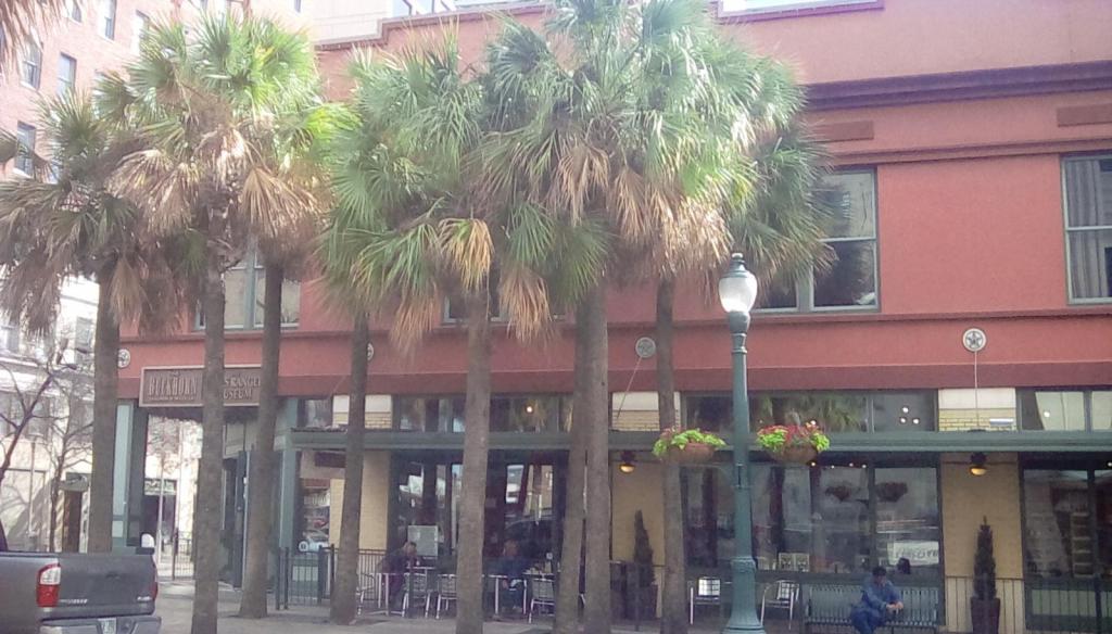 Riverwalk palmettos.jpg