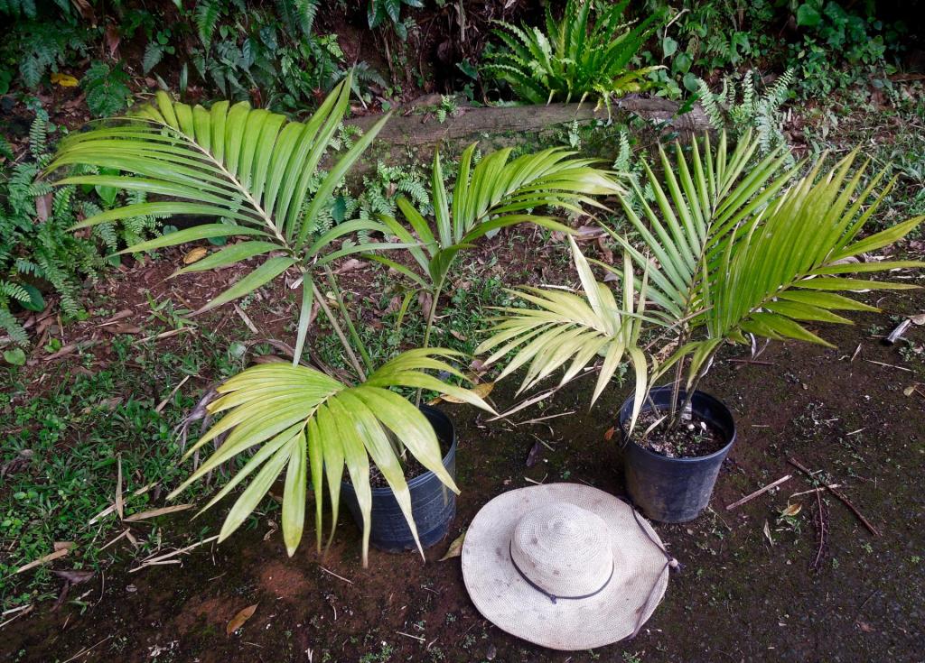 DSCN1463.jpg