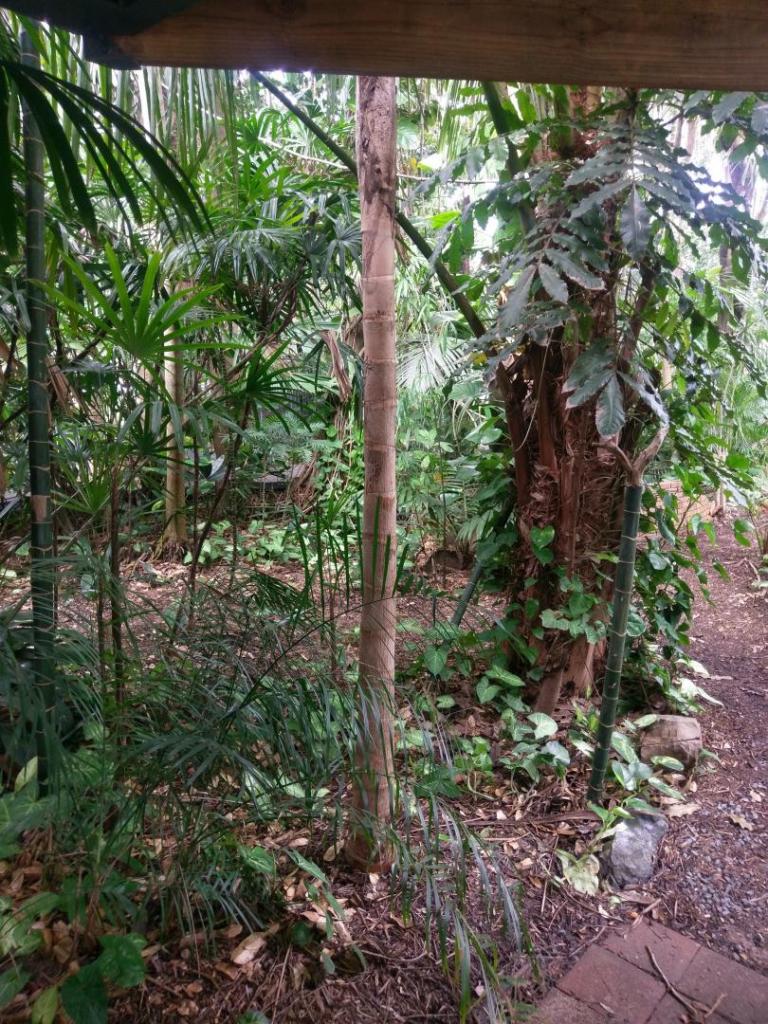 IMAG0129.jpg