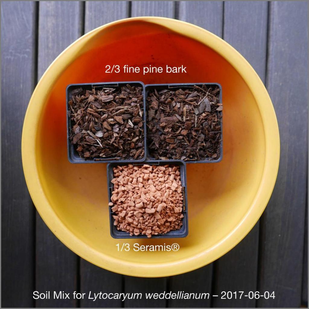 333329943_SoilMix2017-06-04P1030702.thumb.jpg.ae06d67b6f78afff352fe1c777a1f339.jpg