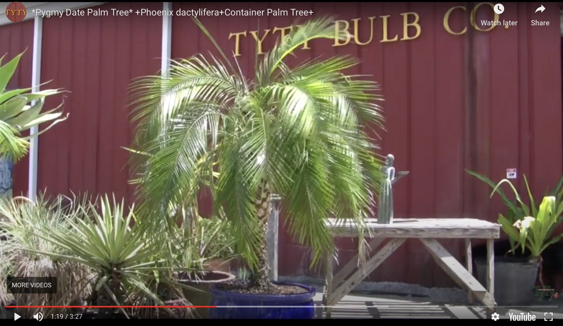 palmtalk home watch