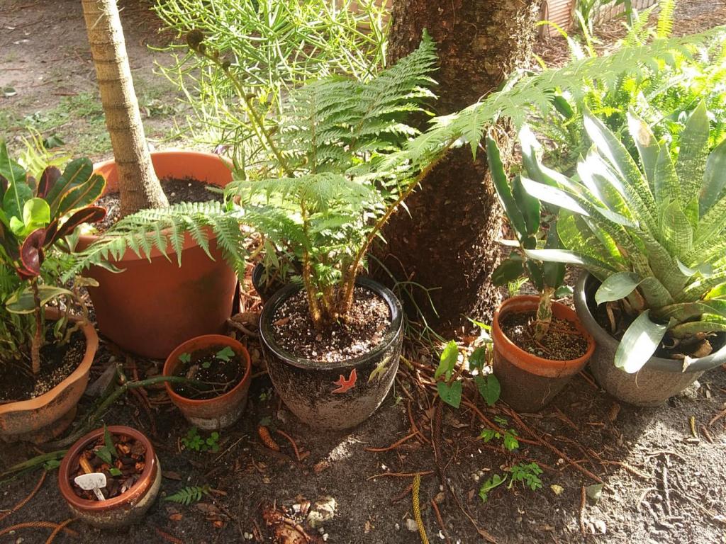 20200608_182552.jpg