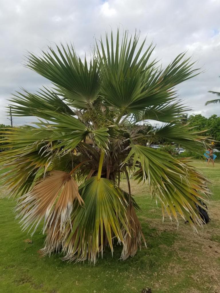 20191007_170036.jpg