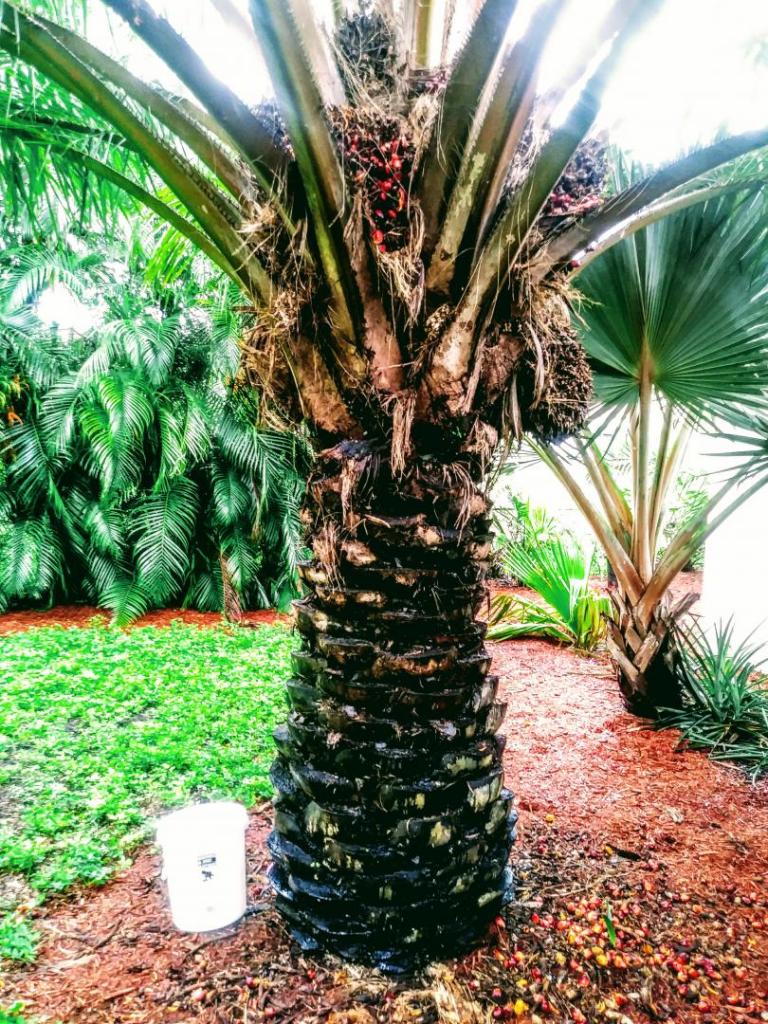 20200912_090922~2.jpg