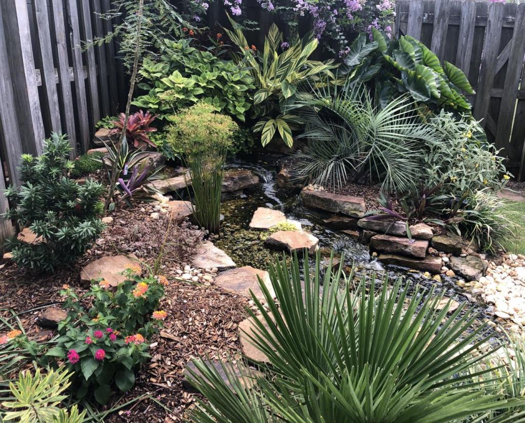 BackyardWaterfallLeftSide13SEP2020.thumb.jpg.8b8136bd7c31f0224c2276e921de996e.jpg