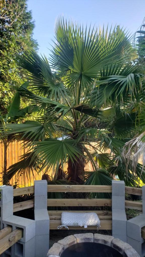 20201008_173035.jpg