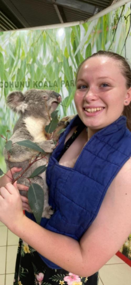Koala