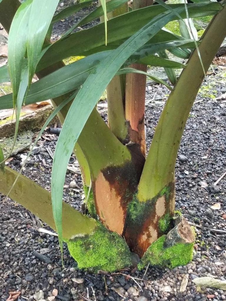20201103_114703.jpg