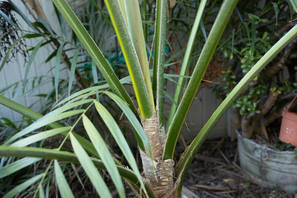 20201116-BH3I1816.jpg