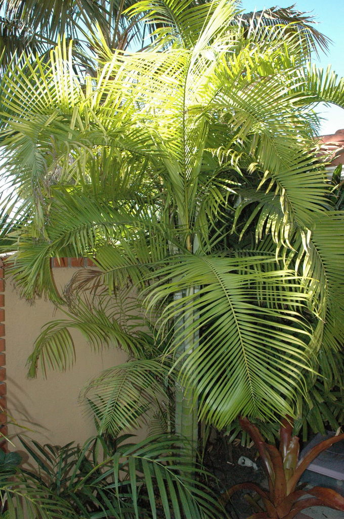 image.png.75b927c896f142cd55b775d91f0c3019.png