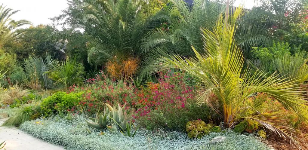 20200905_084823.jpg