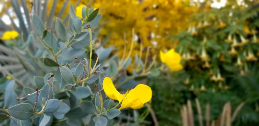 20201205_080643.jpg