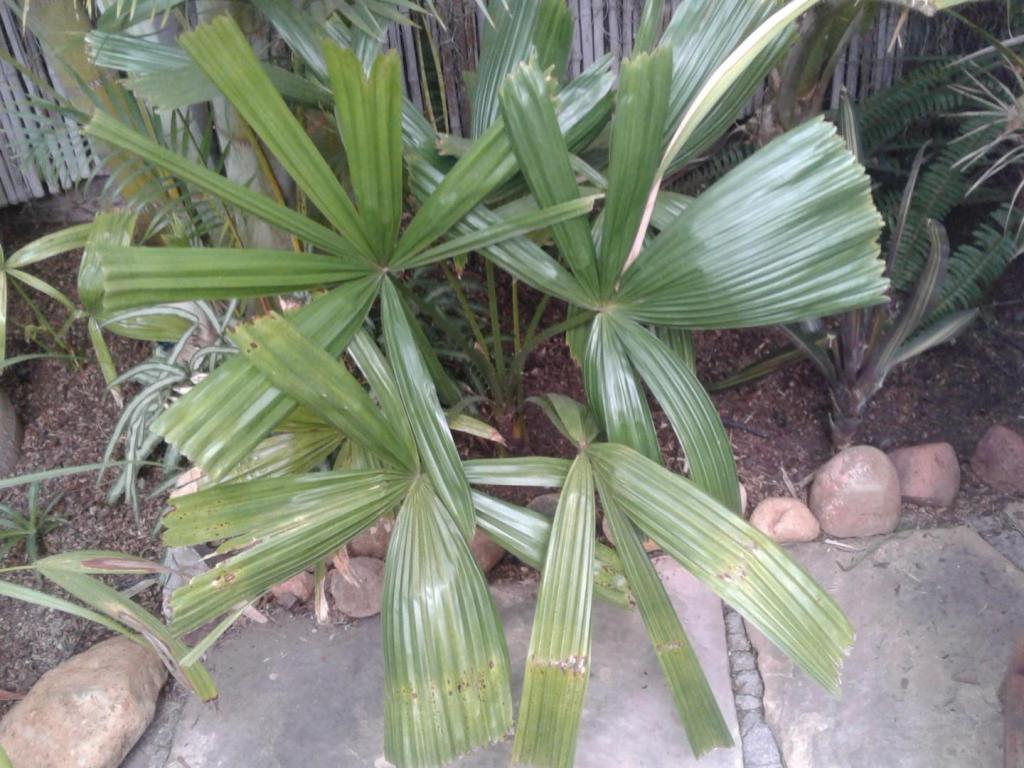 20201207_151649.jpg