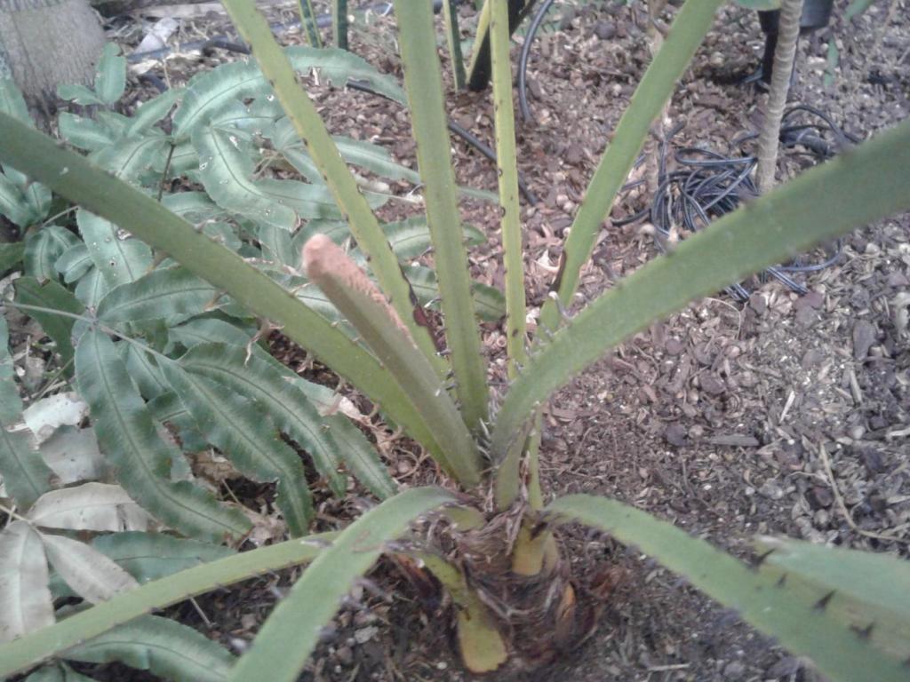 20201207_151753.jpg