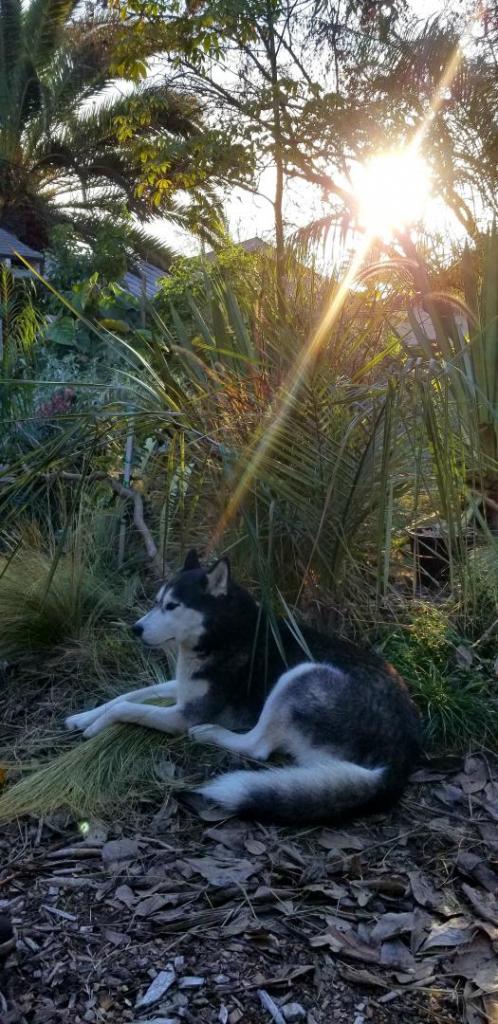 20201224_160525.jpg